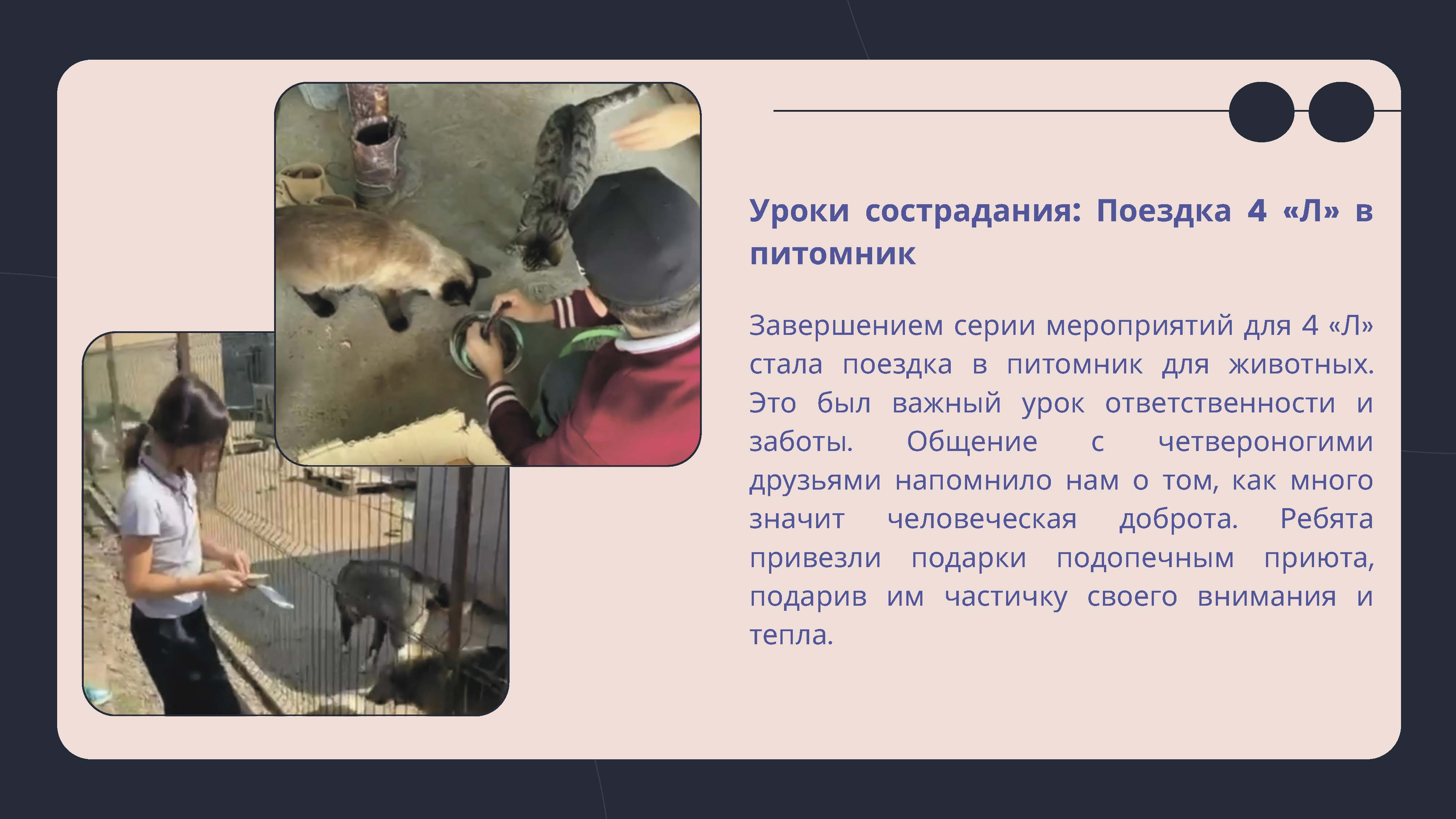 New4 Страница 33